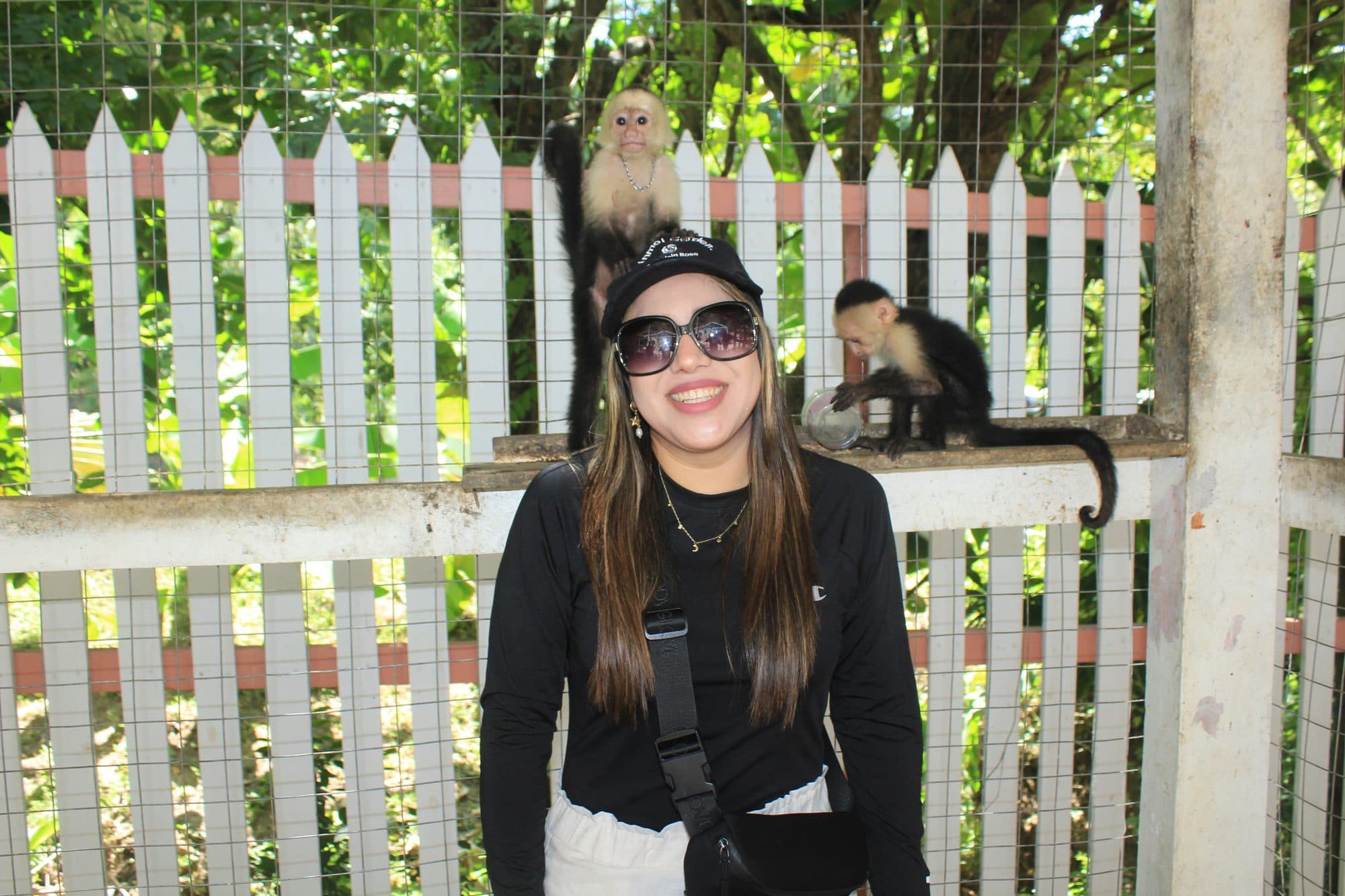 Un mono capuchino de pie sobre la gorra de una visitante que se ríe, mientras otro está sentado en el travesaño de la valla a su lado