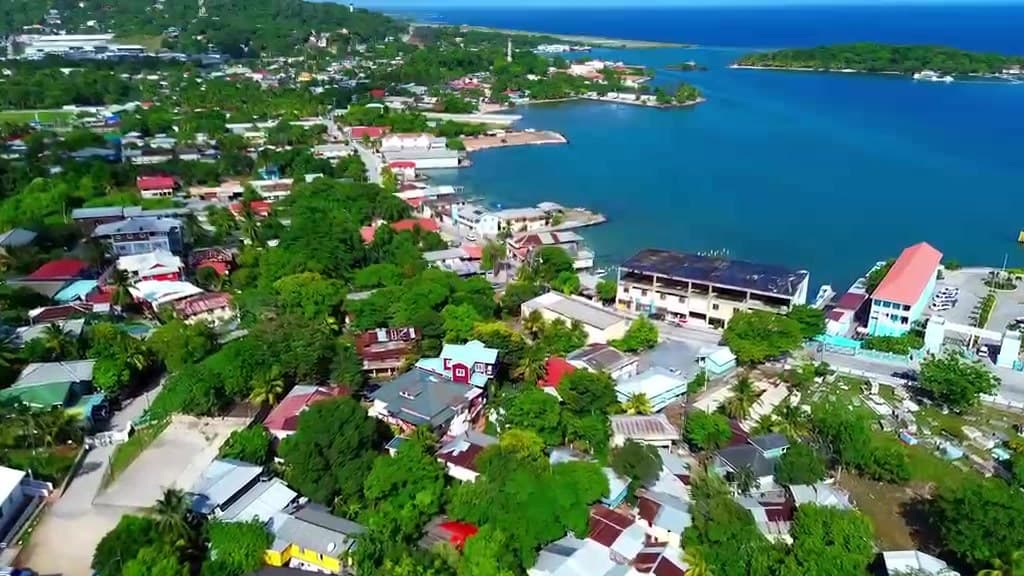 Coxen Hole seen from the air: red and green roofs among the trees, the harbour and the boats along the shore