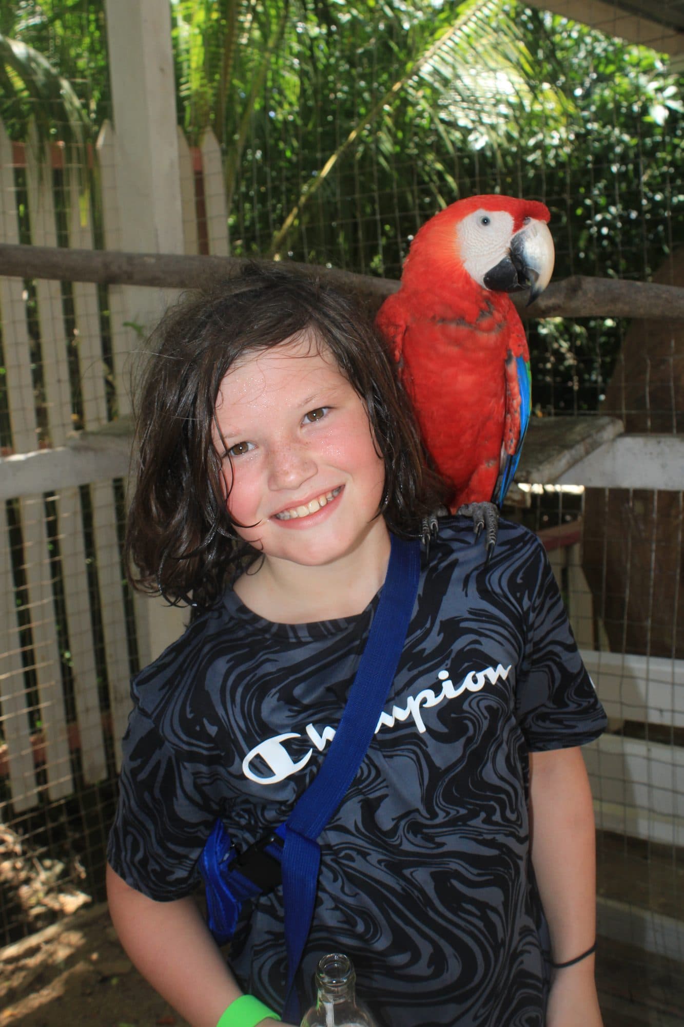 Una niña sonriendo con una guacamaya roja sentada en su hombro en el parque de animales