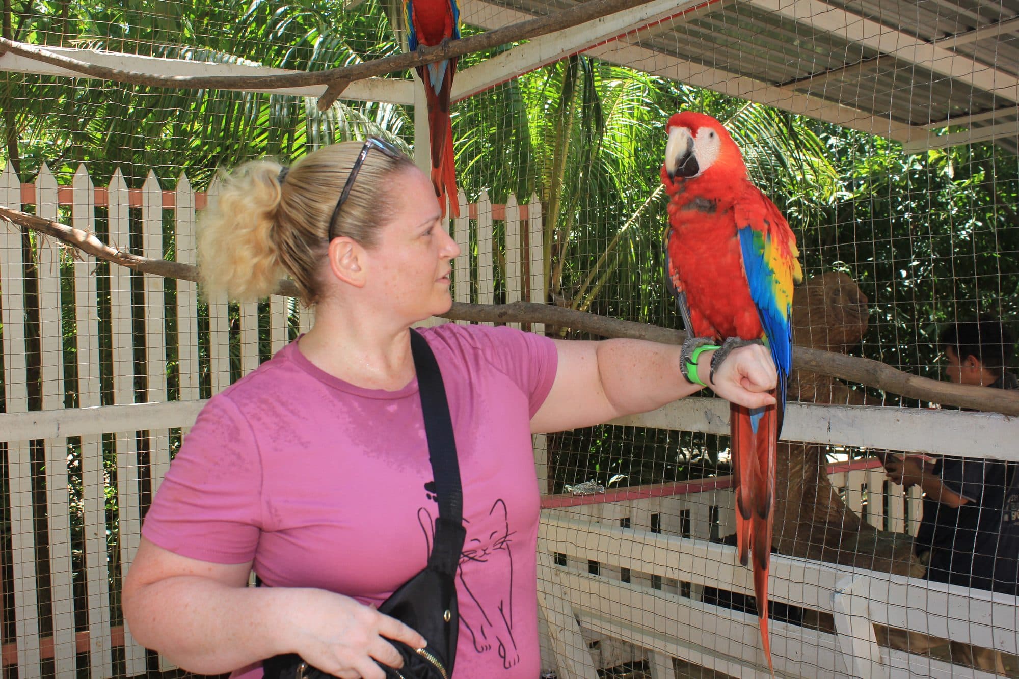 Una visitante cara a cara con una guacamaya roja posada en su mano junto a la valla del aviario