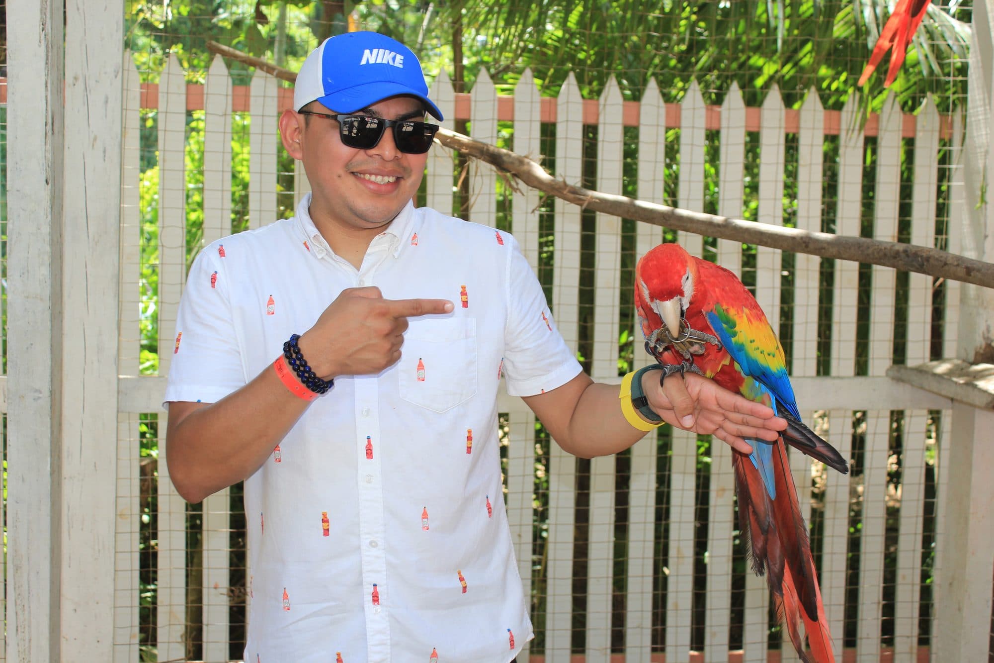 Un visitante señalando la guacamaya roja posada en su propio brazo, riéndose