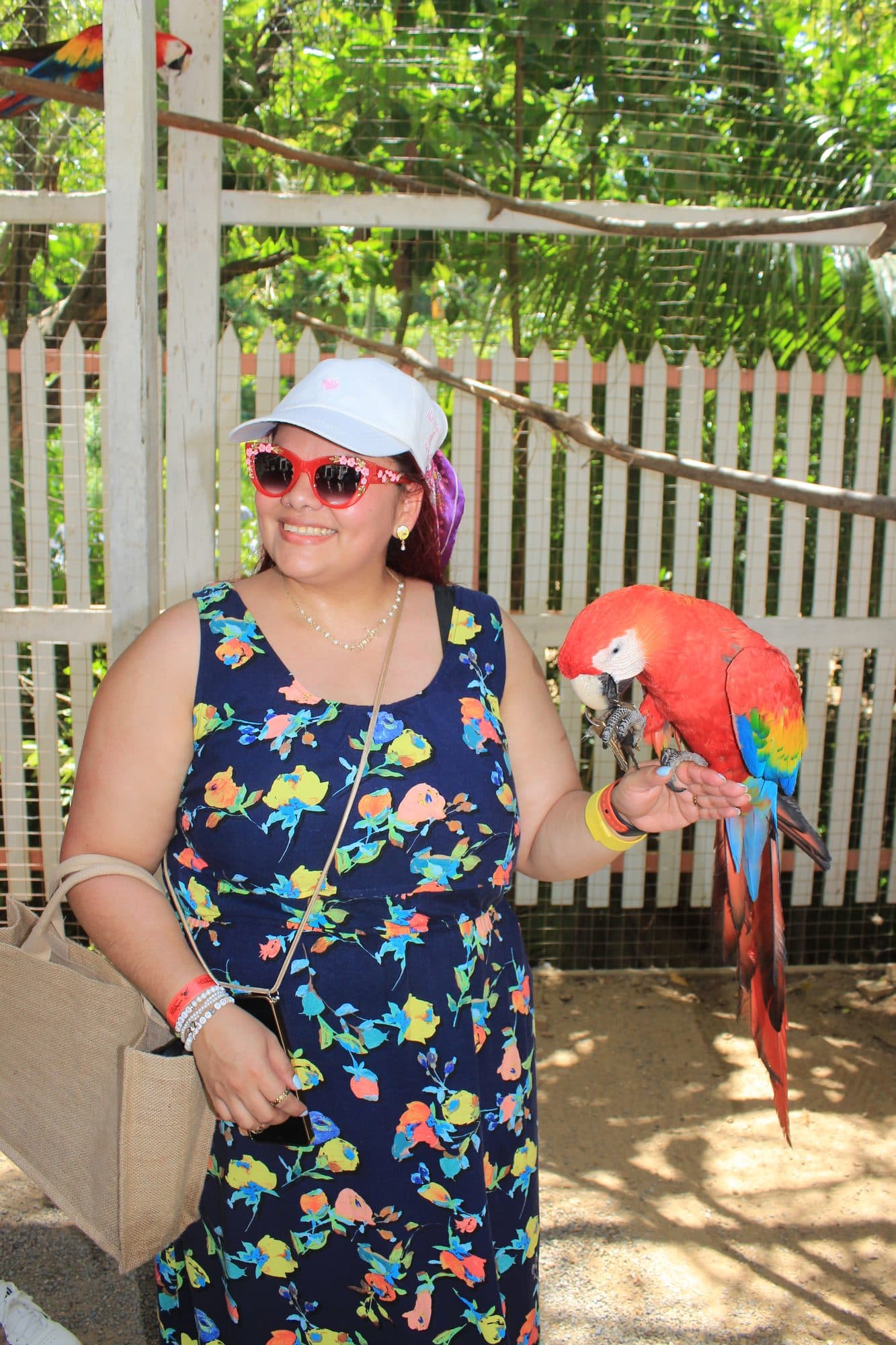 Una visitante extendiendo el brazo para que se pose una guacamaya roja en el parque de animales
