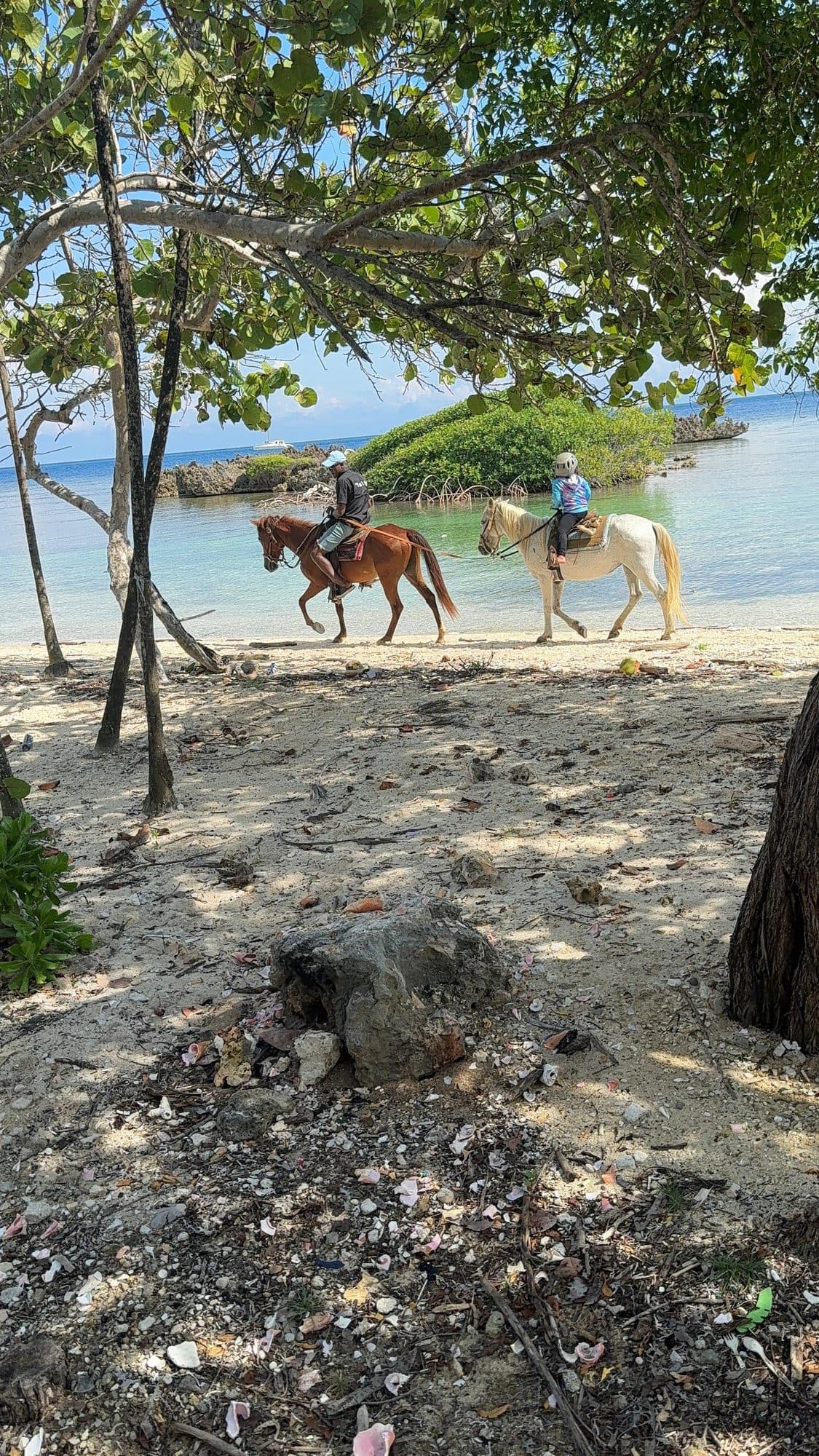 Dos jinetes sobre la arena vistos entre los árboles del sendero de la playa, con el agua tranquila detrás
