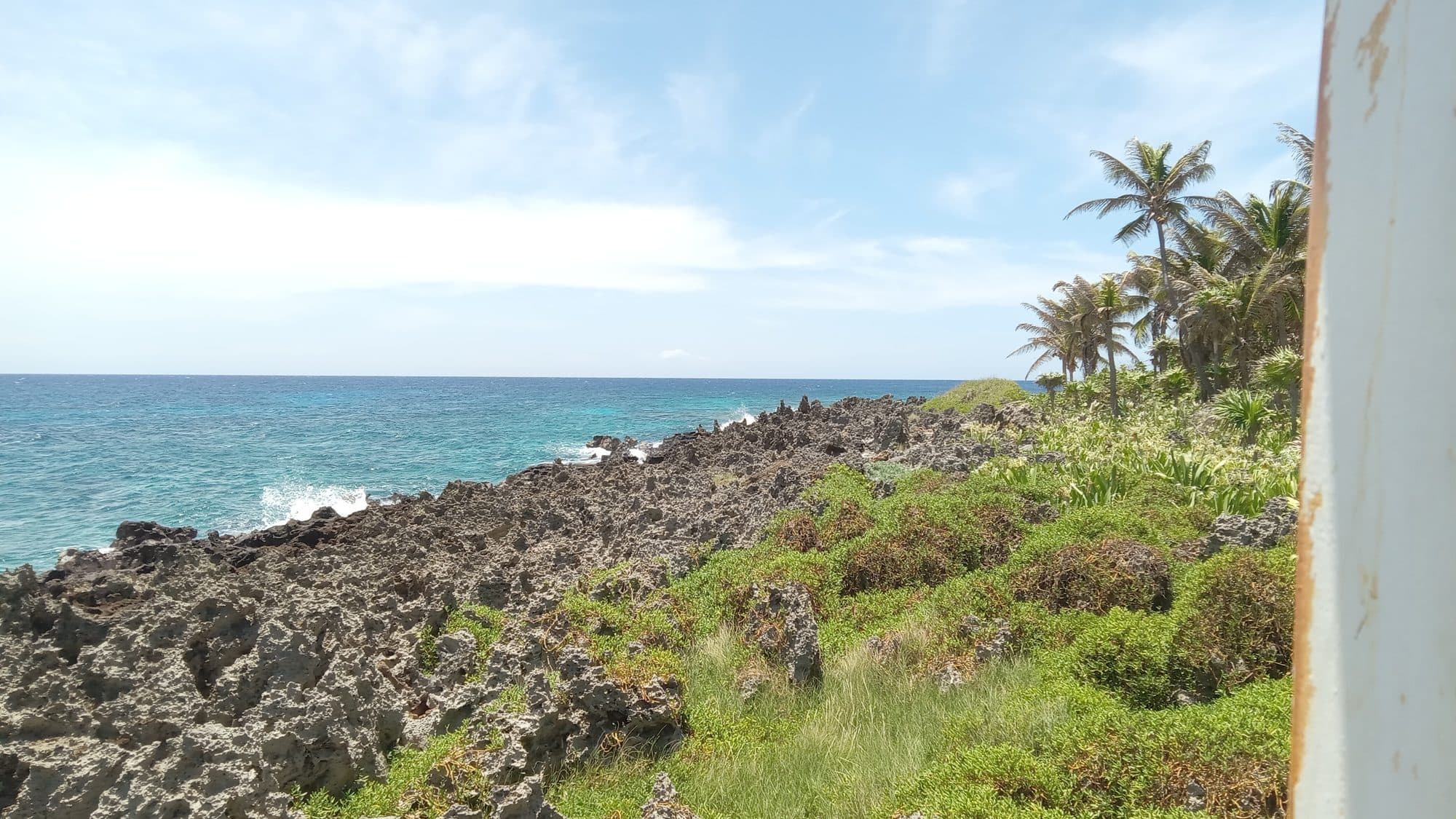 La costa rocosa de la isla cubierta de matorral verde bajo, con el mar abierto al fondo