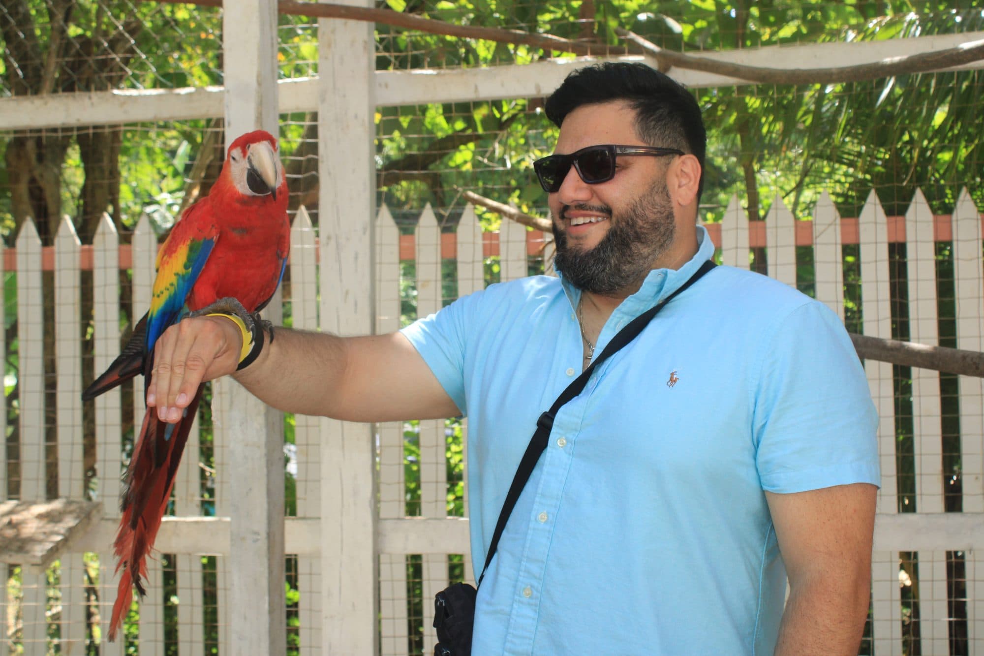 Un visitante de camisa azul sosteniendo una guacamaya roja en el brazo a la sombra del parque