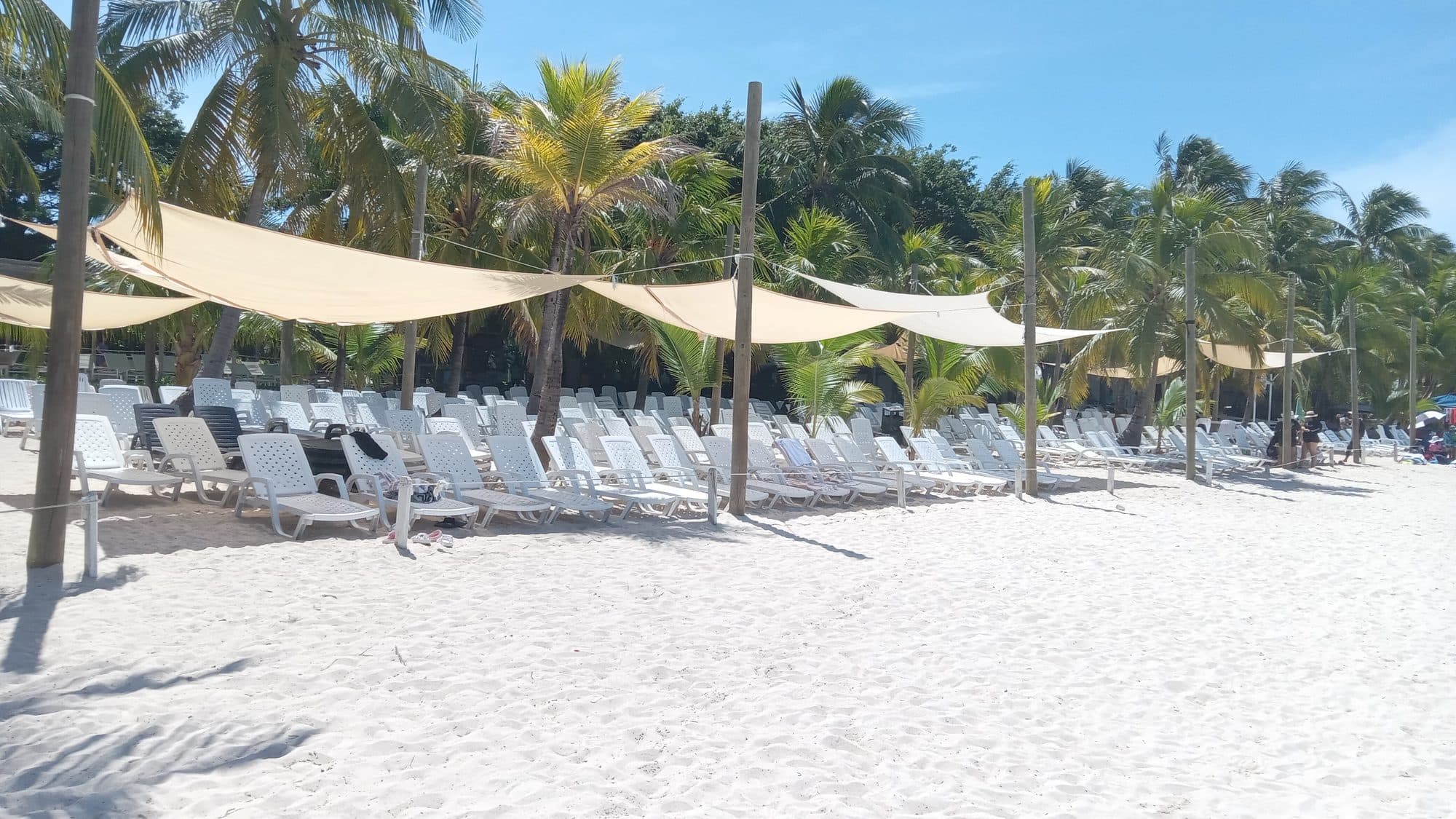 Filas de camastros blancos bajo velas de sombra color crema sobre la arena del club de playa, con palmeras detrás