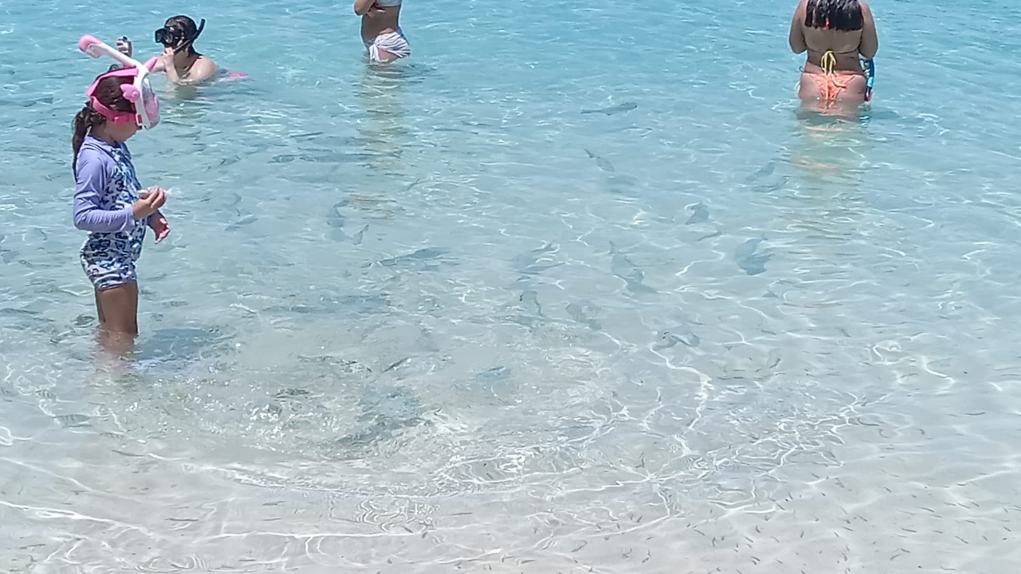 Visitantes de pie con el agua por la cintura, tan clara que se ven las ondas en la arena, con peces pequeños alrededor