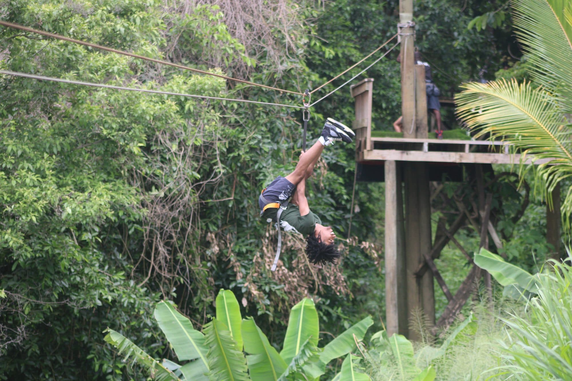 Un visitante colgando boca abajo del arnés de la tirolesa mientras cruza sobre la selva
