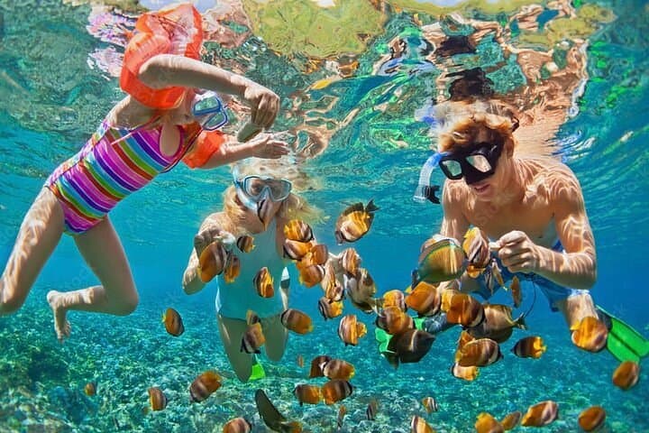 Snorkel: Starfish Garden & Sea Turtles – Roatán shore excursion