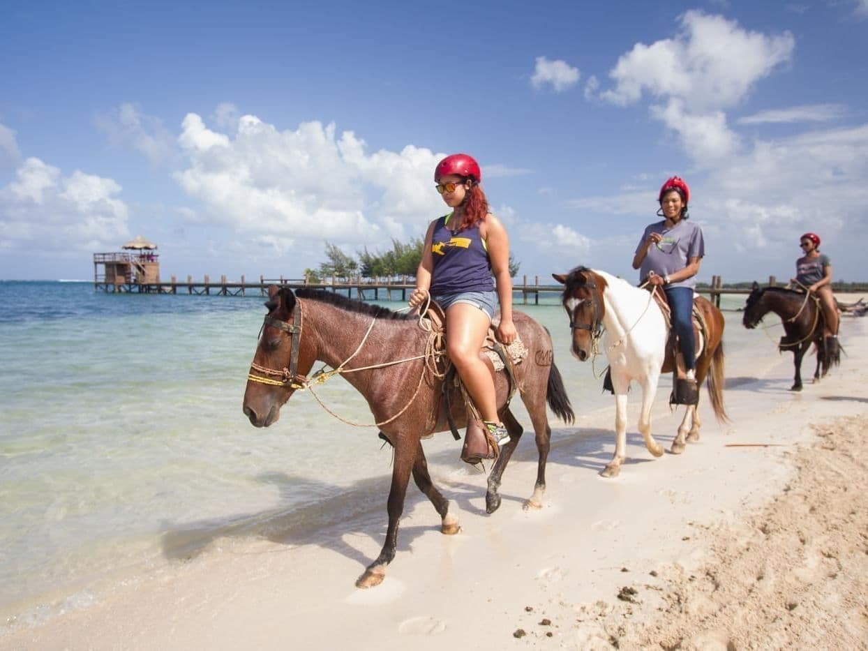 Monkey Lala Tours team providing shore excursions in Roatán