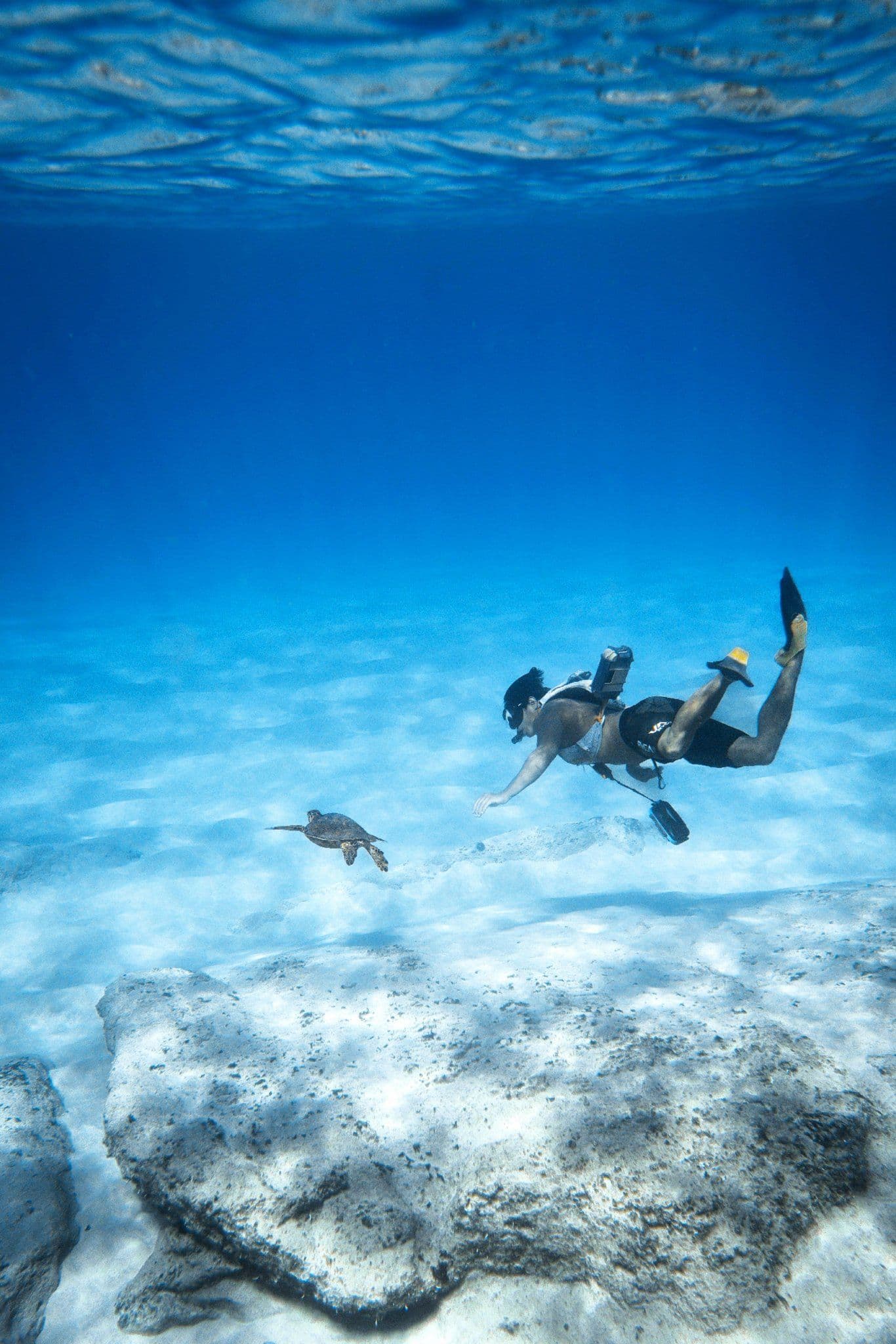 Ultimate Snorkel & Beach Adventure in Roatan – Roatán shore excursion