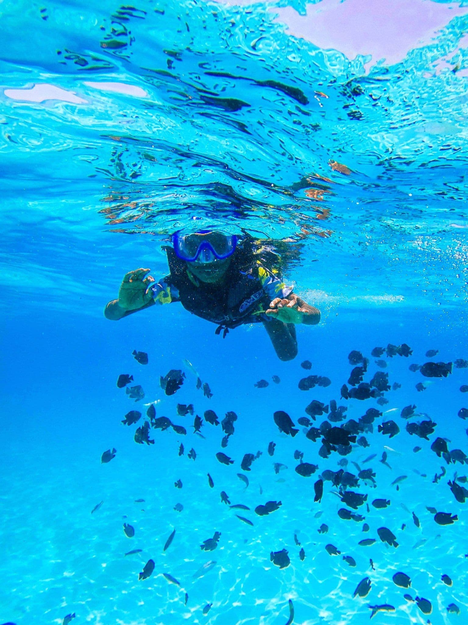 Snorkel, Sloth Park & Monkeys + West Bay Beach